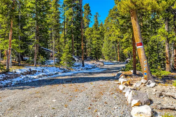 Fairplay, CO 80440,454 Dry Gulch RD