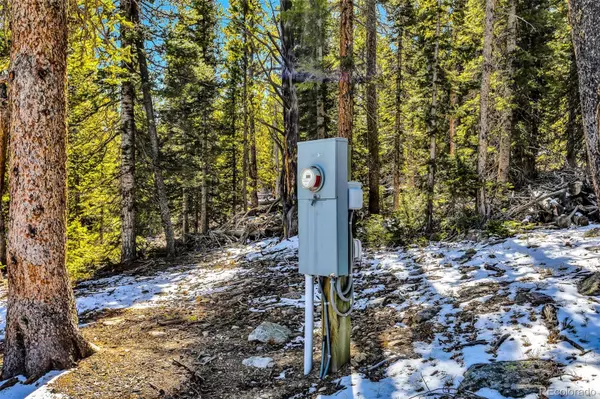 Fairplay, CO 80440,454 Dry Gulch RD