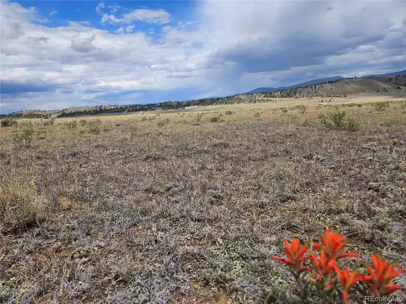 4124 Clear Creek RD, Hartsel, CO 80449