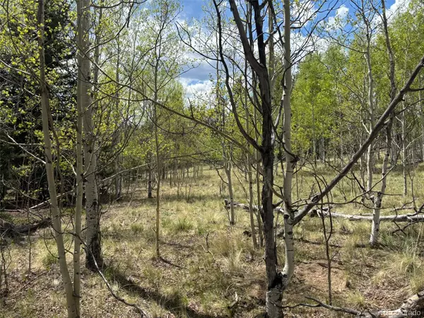 Como, CO 80432,75 Ithaca LN