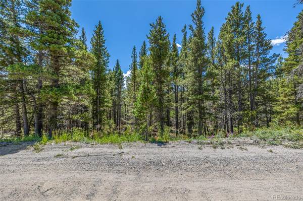 Idaho Springs, CO 80452,Lot 652 Alice RD