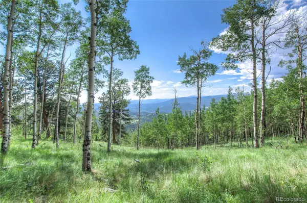 Golden, CO 80403,1701 Robinson Hill, Lot 6 RD