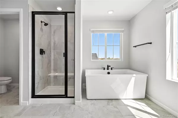 Castle Rock, CO 80108,4284 Ridgewalk PT