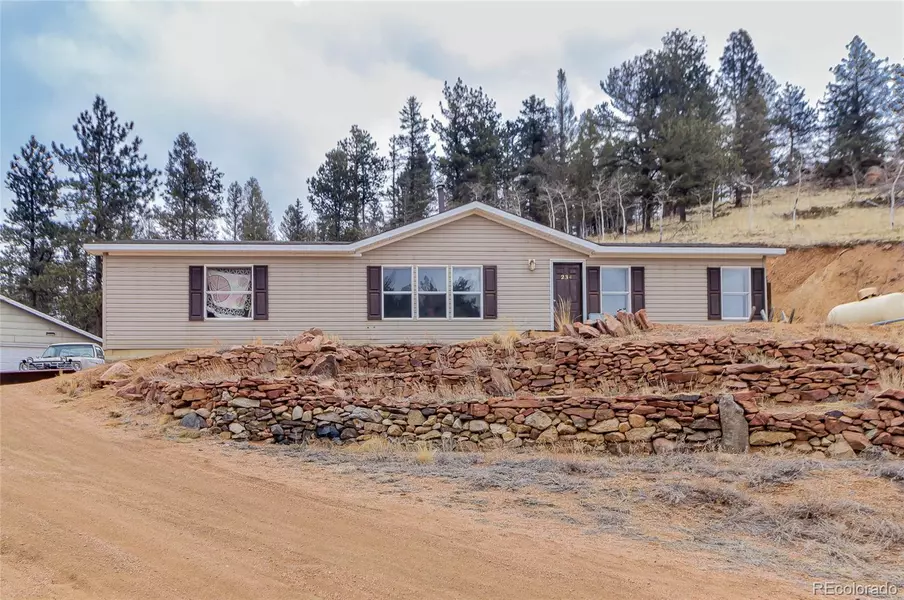 234 Rabbil Creek TRL, Florissant, CO 80816