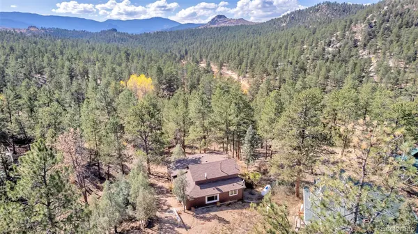Buffalo Creek, CO 80425,24123 Lincoln AVE