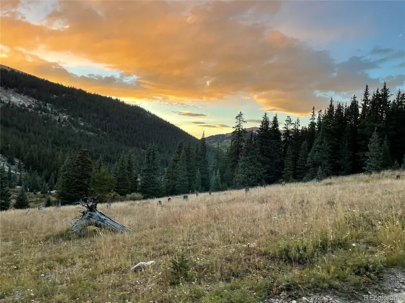 15743 Big Johnnie #12, Leadville, CO 80461