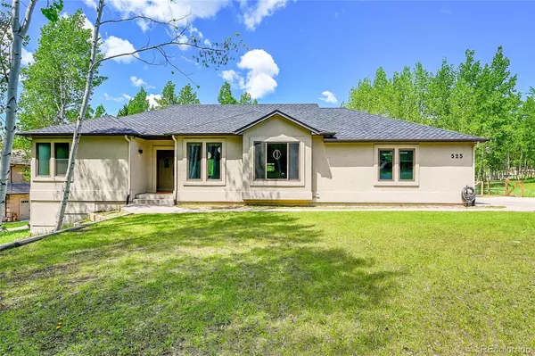 Woodland Park, CO 80863,525 Regent LN