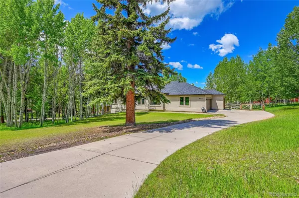 Woodland Park, CO 80863,525 Regent LN