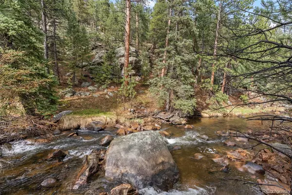 Evergreen, CO 80439,30264 Upper Bear Creek RD