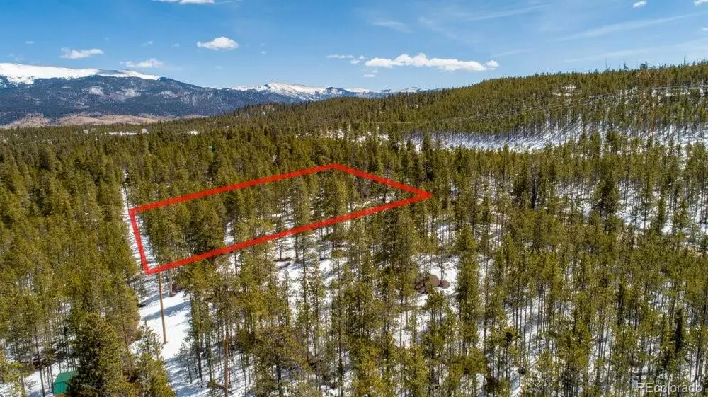 1033 Sequoia DR, Leadville, CO 80461