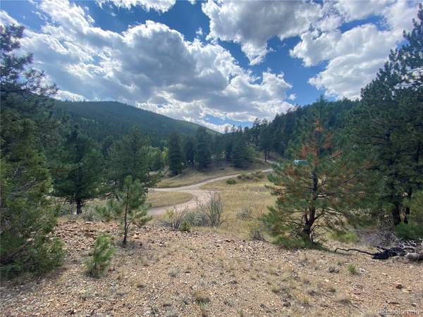 Idaho Springs, CO 80452,000 Raven DR