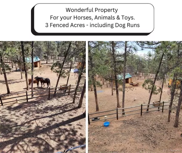 Pine, CO 80470,270 Dawson RD