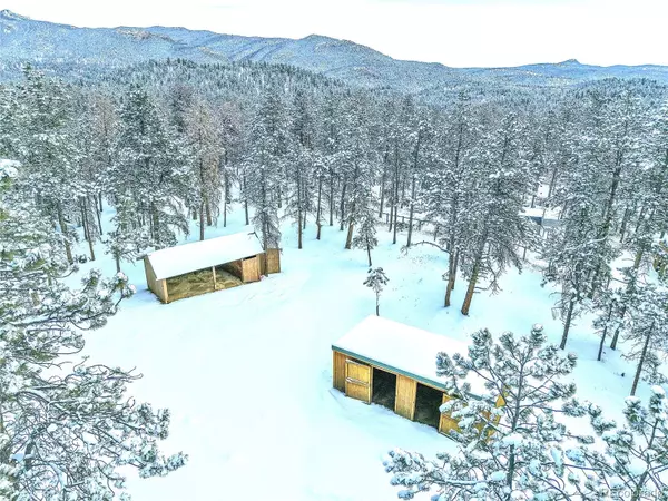 Pine, CO 80470,270 Dawson RD