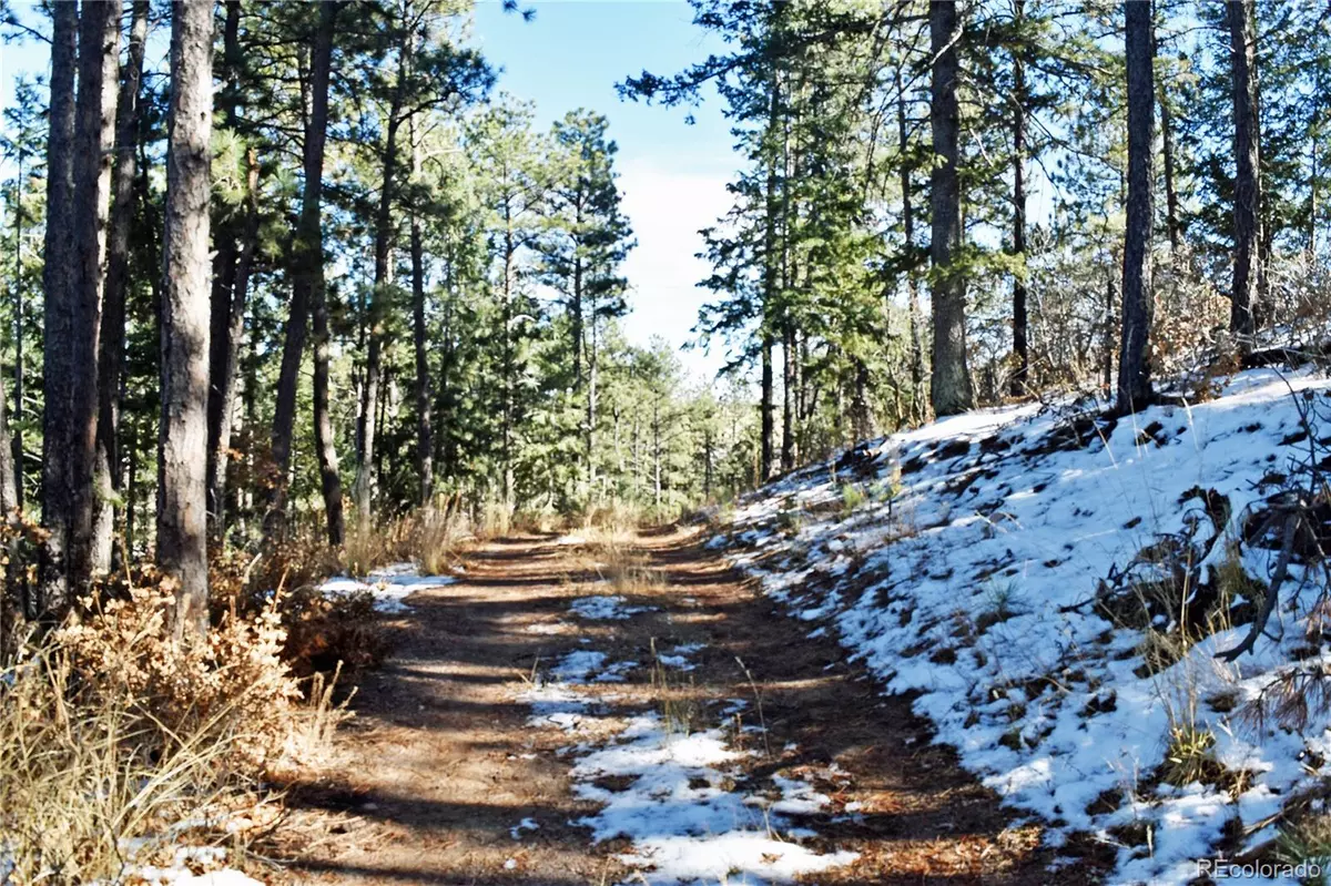Larkspur, CO 80118,12778 Greenland Acres RD