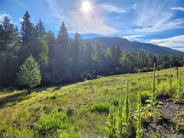 274 Church Creek, South Fork, CO 81154