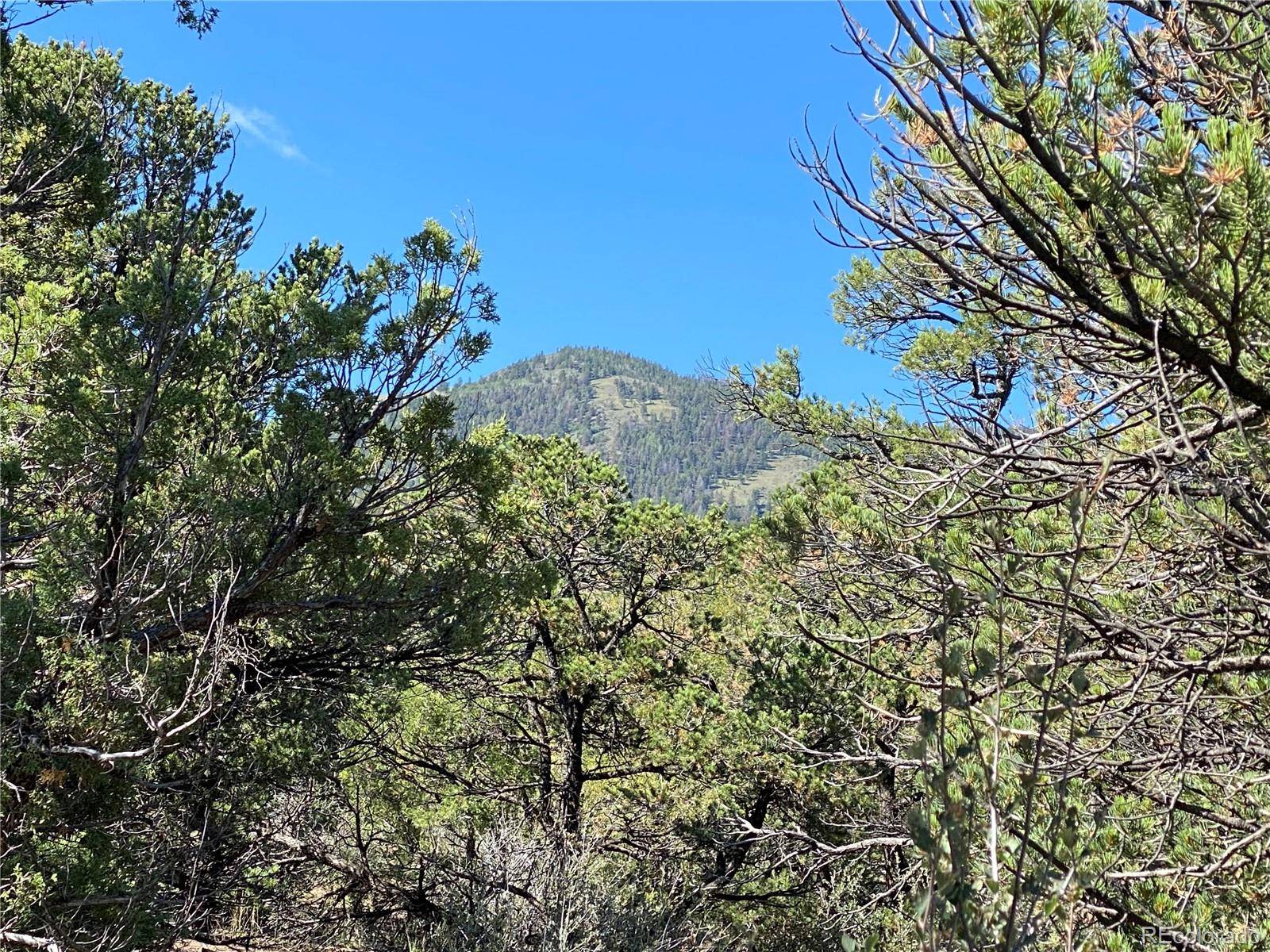 Salida, CO 81201,5693 Pinon Ridge TRL