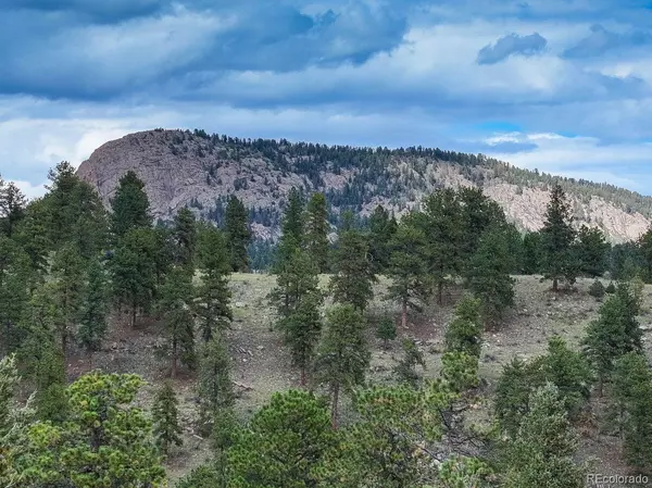 Bailey, CO 80421,174 Sleepy Hollow DR