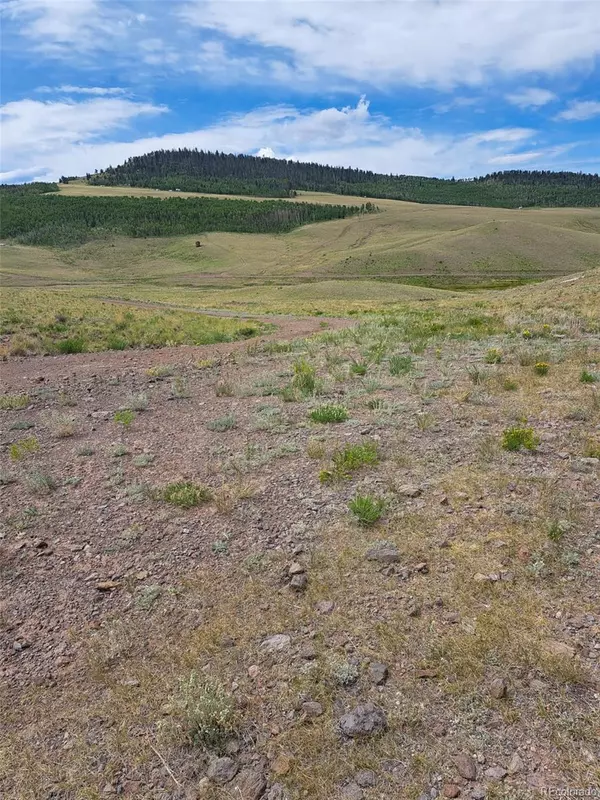 Hartsel, CO 80449,00 Watonga RD