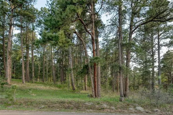 Monument, CO 80132,1295 Lone Scout Lookout