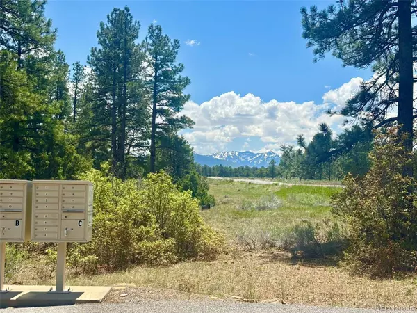 Ridgway, CO 81432,60 Fisher Canyon DR