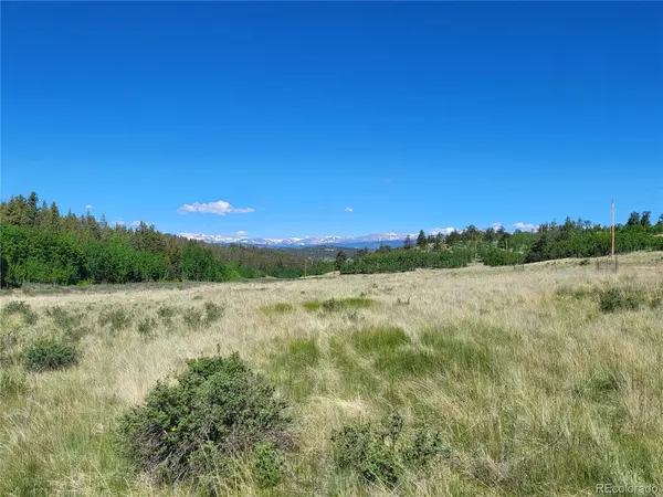 Como, CO 80432,293 W Longbow DR