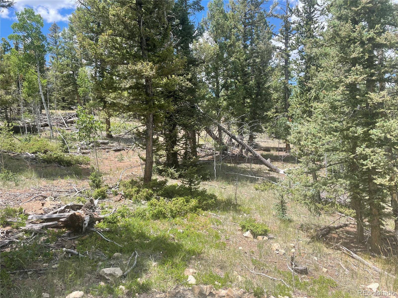 Como, CO 80432,98 Tewa WAY