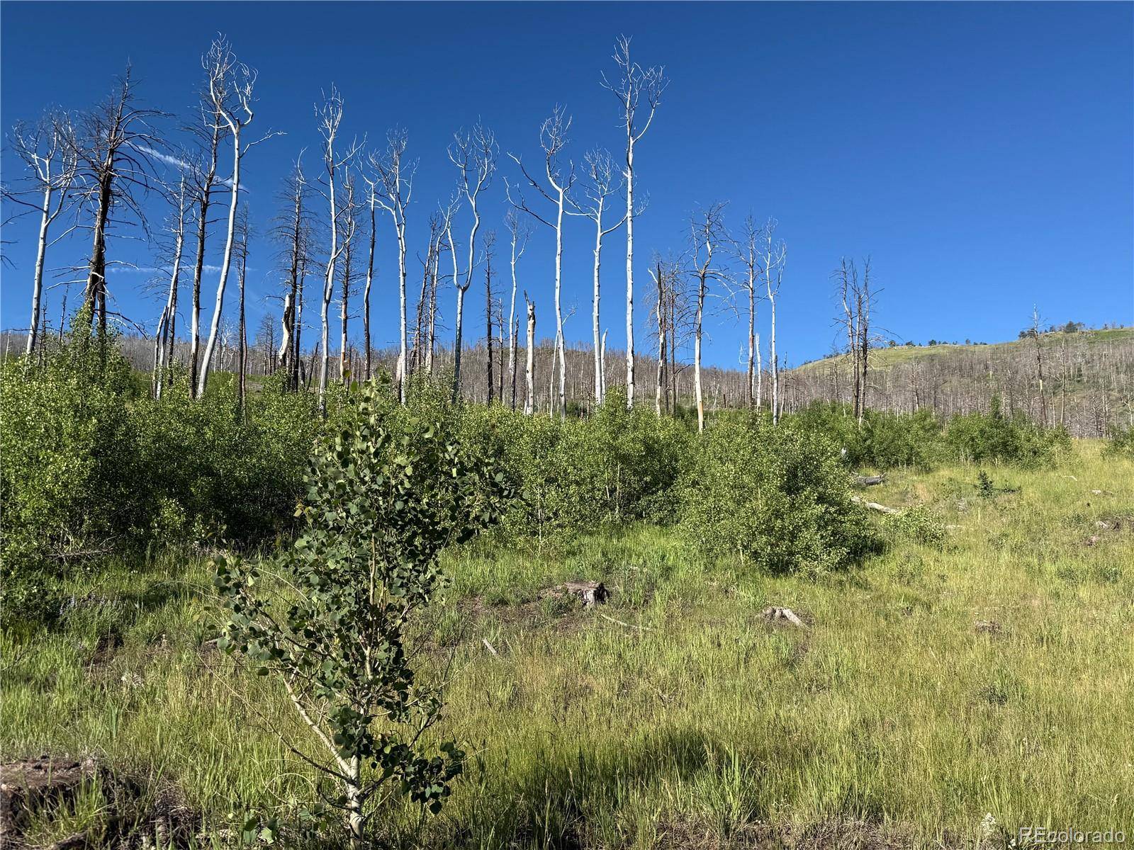 Fort Garland, CO 81133,Lot 775 Forbes Park RD