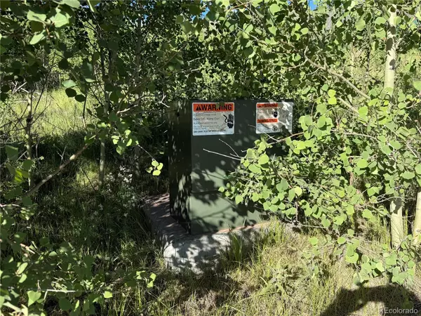 Fort Garland, CO 81133,Lot 775 Forbes Park RD