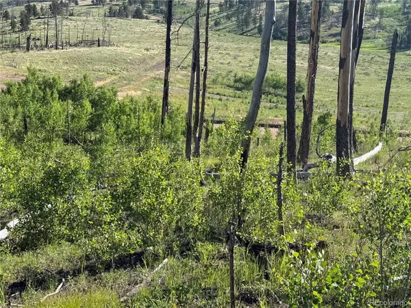Fort Garland, CO 81133,Lot 775 Forbes Park RD