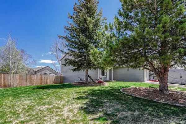 Colorado Springs, CO 80922,4865 Halter CT