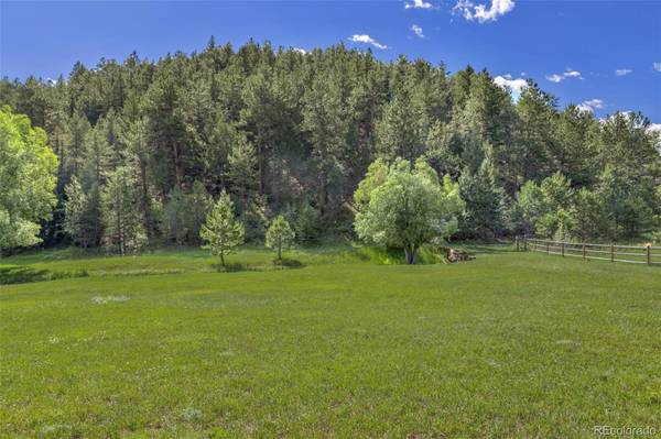 Evergreen, CO 80439,446 Meadow Vista DR