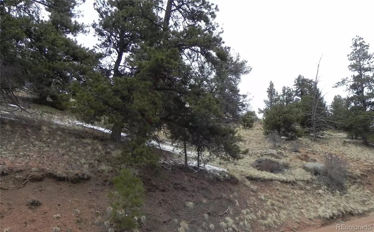 Cripple Creek, CO 80813,153 Idlewild DR