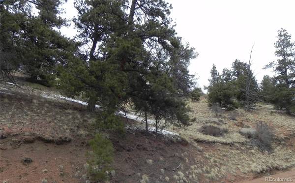 153 Idlewild DR, Cripple Creek, CO 80813