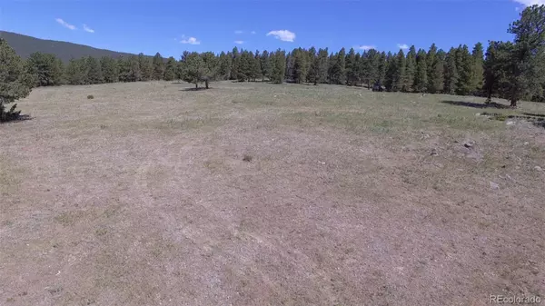 Black Hawk, CO 80422,50 Rudolph Ranch RD