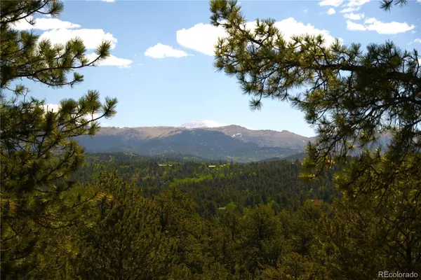 Cripple Creek, CO 80813,29 Dexter CIR