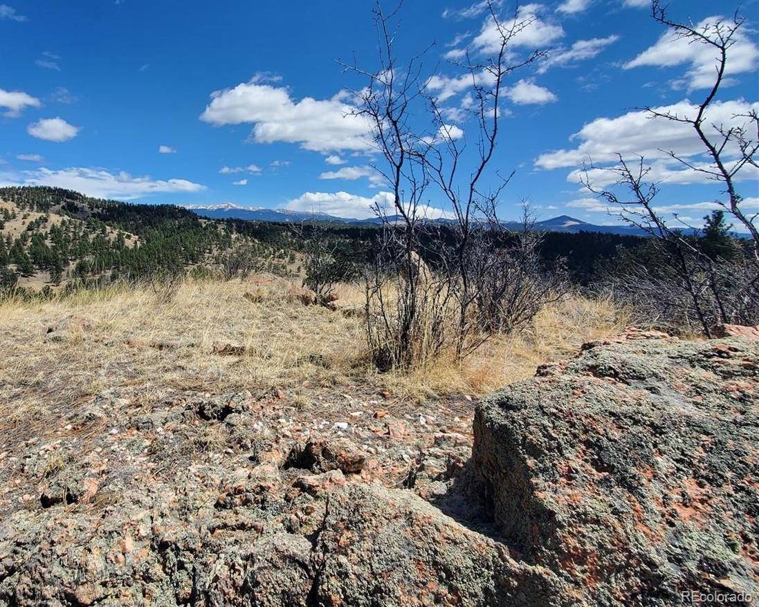 Florissant, CO 80816,370 Ponderosa DR