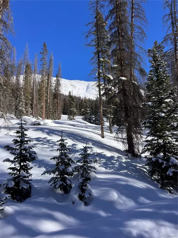 St Elmo, CO 81236,2760 Chicago Mining Claim