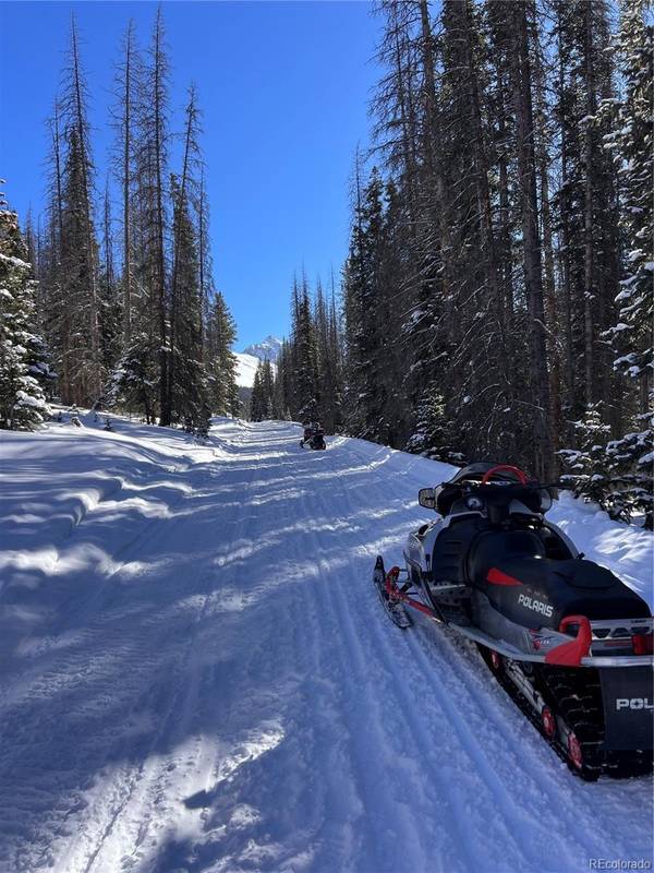 St Elmo, CO 81236,2760 Chicago Mining Claim