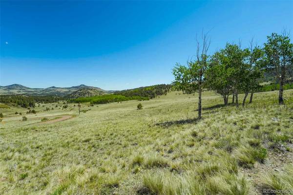 1354 Greta Valley RD,  Guffey,  CO 80820