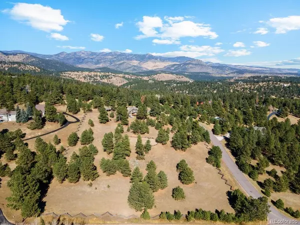 Evergreen, CO 80439,1329 Starwood LN