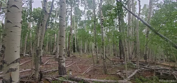 Fort Garland, CO 81133,Lot 5837 Sheldon RD