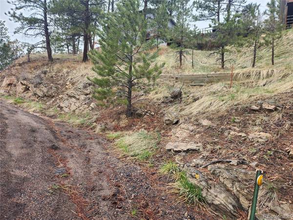 Evergreen, CO 80439,000 Forest Hill RD