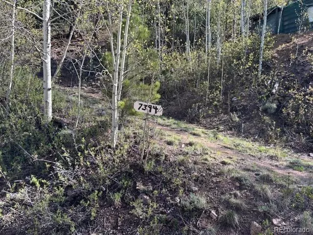 Bailey, CO 80421,7394 County Road 43