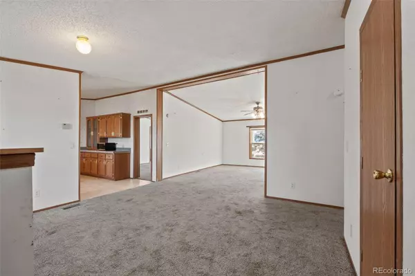 Guffey, CO 80820,1711 Witcher Mountain RD