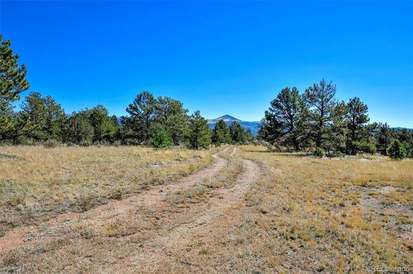 Florissant, CO 80816,TBD Carl RD