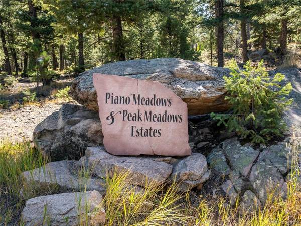 12949 Piano Meadows DR, Conifer, CO 80433