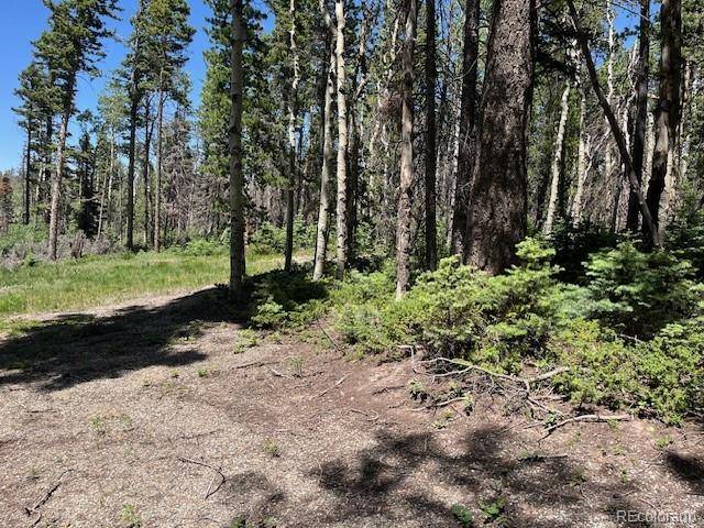 Fort Garland, CO 81133,Lot 2449 Petito DR