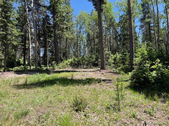 Fort Garland, CO 81133,Lot 2449 Petito DR