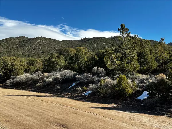 Fort Garland, CO 81133,1433 Marion RD