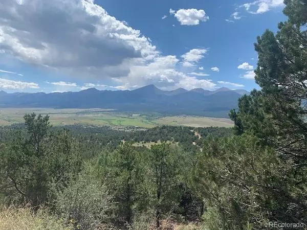 Westcliffe, CO 81252,188 Looters LN